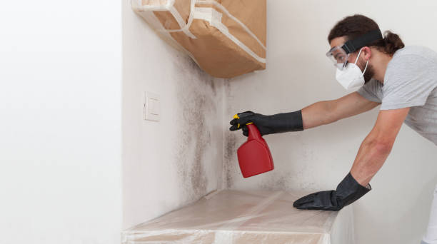 Professional Attic Mold Removal technician working in Great River, NY